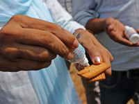 Members of Vishwa Hindu Parishad administers homeopathic medicine to a cow suffering from lumpy skin disease, in Jaipur, Rajasthan, India, T...