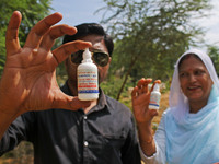 Members of Vishwa Hindu Parishad show dose of homeopathic medicine to a cow suffering from lumpy skin disease, in Jaipur, Rajasthan, India,...