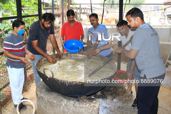   Social worker Nitesh Khandelwal and his team members  prepare ayurvedic medicine for cows after lumpy skin disease  outbreak in cattle, at...