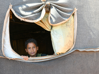 Several cases of cholera were recorded in northwestern Syria, where pictures show pools of contaminated water in front of tents for the disp...