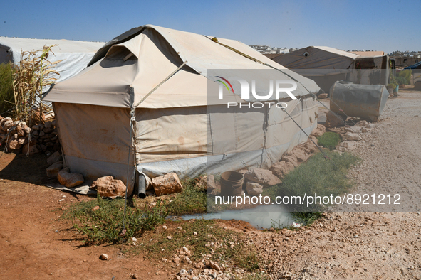 Several cases of cholera were recorded in northwestern Syria, where pictures show pools of contaminated water in front of tents for the disp...