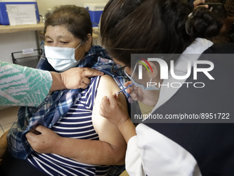 A person receives influenza vaccine during  the national influenza vaccination campaign at the Specialty Clinic. on October 3, 2022 in Mexic...