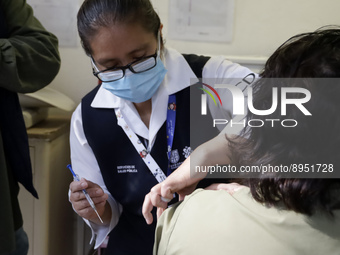 A person receives influenza vaccine during  the national influenza vaccination campaign at the Specialty Clinic. on October 3, 2022 in Mexic...