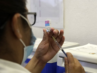 A person prepares a influenza vaccine during  the national influenza vaccination campaign at the Specialty Clinic. on October 3, 2022 in Mex...