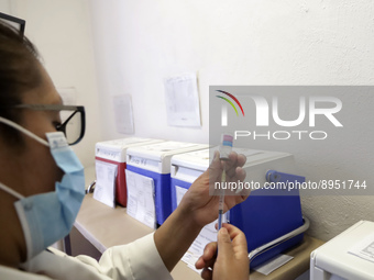 A person prepares a influenza vaccine during  the national influenza vaccination campaign at the Specialty Clinic. on October 3, 2022 in Mex...