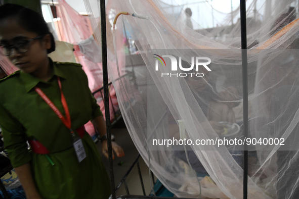 Children are kept inside mosquito nets as they are hospitalized due to dengue fever at Dhaka Child Hospital in Dhaka, Bangladesh on October...