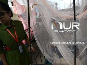 Children are kept inside mosquito nets as they are hospitalized due to dengue fever at Dhaka Child Hospital in Dhaka, Bangladesh on October...