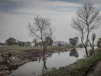 A dirty water canal at Dhapa waste duping ground, Kolkata, India. January 17, 2015. *** Go to http://nurphoto.com/en/reportages/51696 to see...