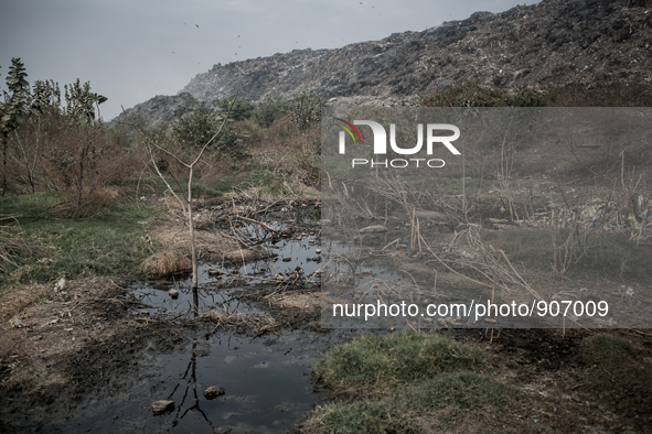 A view of pollution at Dhapa waste dumping ground, Kolkata, India. January 17, 2105. *** Go to http://nurphoto.com/en/reportages/51696 to se...