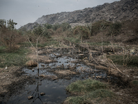 A view of pollution at Dhapa waste dumping ground, Kolkata, India. January 17, 2105. *** Go to http://nurphoto.com/en/reportages/51696 to se...