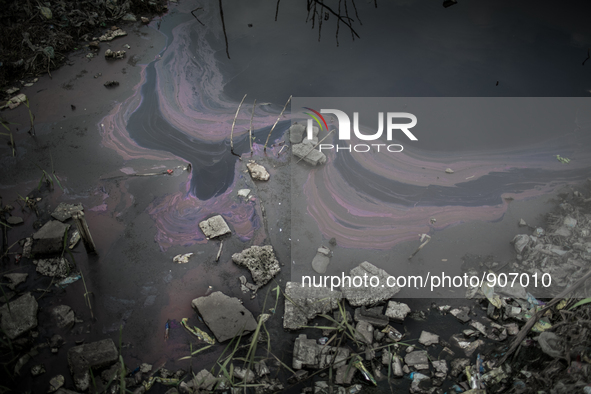 Water pollution at Dhapa waste dumping ground, Kolkata, India. January 17, 2105. *** Go to http://nurphoto.com/en/reportages/51696 to see mo...