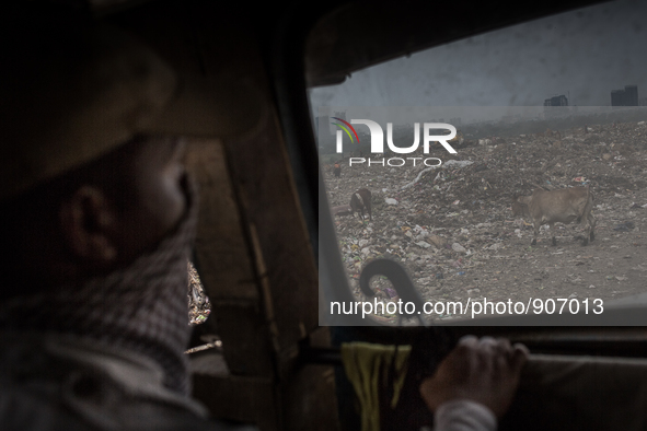 A guard is observing the  west dumping ground sitting inside a waste carrying truck, Dhapa, Kolkata, India. January 20, 2015. *** Go to http...