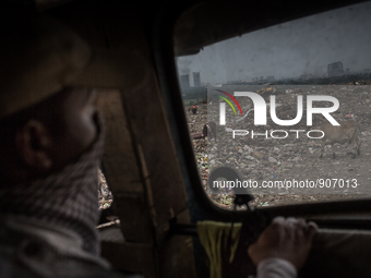 A guard is observing the  west dumping ground sitting inside a waste carrying truck, Dhapa, Kolkata, India. January 20, 2015. *** Go to http...