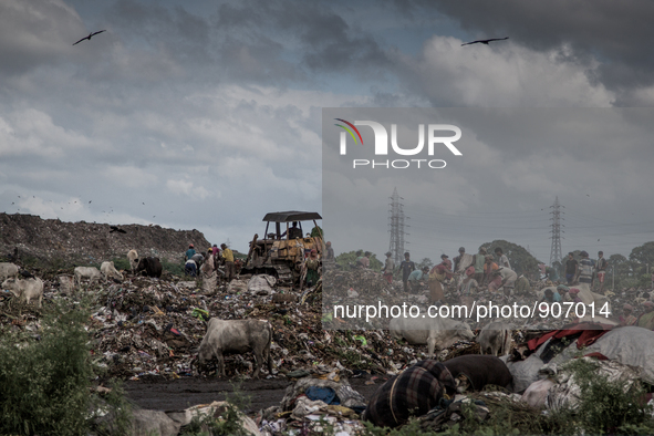 A new place is found beside the old waste mountain for dumping solid waste. Dhapa, Kolkata, India. January 20, 2015. *** Go to http://nurpho...