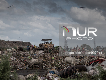 A new place is found beside the old waste mountain for dumping solid waste. Dhapa, Kolkata, India. January 20, 2015. *** Go to http://nurpho...