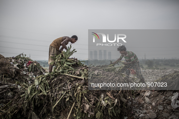 Two young scavengers are picking waste. Dhapa waste dumping ground, Kolkata, India. September 10, 2015. *** Go to http://nurphoto.com/en/rep...