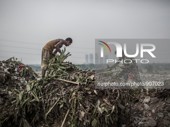 Two young scavengers are picking waste. Dhapa waste dumping ground, Kolkata, India. September 10, 2015. *** Go to http://nurphoto.com/en/rep...