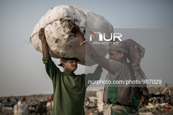 Scavengers are carrying waste. Dhapa, Kolkata, India. January 20, 2015. *** Go to http://nurphoto.com/en/reportages/51696 to see more **** 