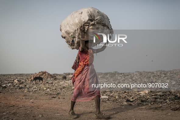 A scavenger is carrying waste. Dhapa, Kolkata, India. January 20, 2015. *** Go to http://nurphoto.com/en/reportages/51696 to see more **** 