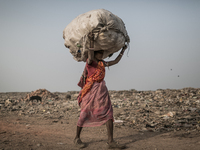 A scavenger is carrying waste. Dhapa, Kolkata, India. January 20, 2015. *** Go to http://nurphoto.com/en/reportages/51696 to see more **** (