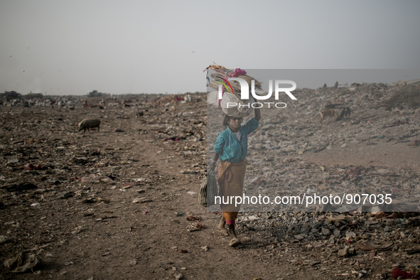 A scavenger is carrying waste. Dhapa, Kolkata, India. January 20, 2015. *** Go to http://nurphoto.com/en/reportages/51696 to see more **** 