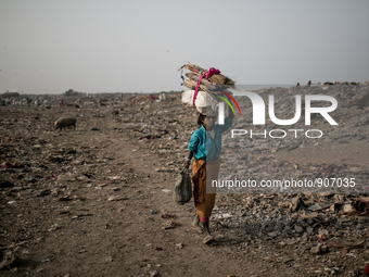 A scavenger is carrying waste. Dhapa, Kolkata, India. January 20, 2015. *** Go to http://nurphoto.com/en/reportages/51696 to see more **** (