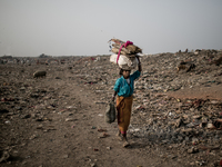 A scavenger is carrying waste. Dhapa, Kolkata, India. January 20, 2015. *** Go to http://nurphoto.com/en/reportages/51696 to see more **** (