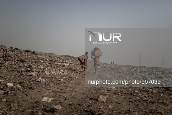 scavengers are returning from the waste dumoing ground, Dhapa, Kolkata, India. January 20, 2015. *** Go to http://nurphoto.com/en/reportages...