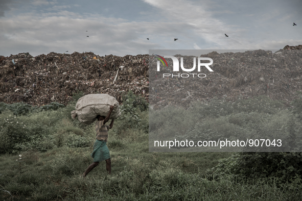 A scavenger is carrying waste. Dhapa, Kolkata, India. September 22, 2015. *** Go to http://nurphoto.com/en/reportages/51696 to see more ****...