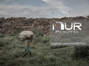 A scavenger is carrying waste. Dhapa, Kolkata, India. September 22, 2015. *** Go to http://nurphoto.com/en/reportages/51696 to see more ****...