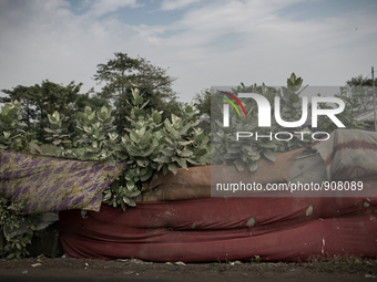 People have made boundary with old clothes. Dhapa, Kolkata, India. January 17, 2015.  *** Go to http://nurphoto.com/en/reportages/51754 to s...