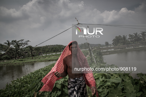 A farmer in the village beside the waste dumping ground. Dhapa, Kolkata, India. September 19, 2015.  *** Go to http://nurphoto.com/en/report...