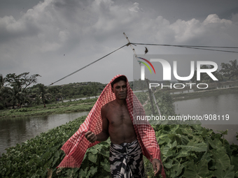 A farmer in the village beside the waste dumping ground. Dhapa, Kolkata, India. September 19, 2015.  *** Go to http://nurphoto.com/en/report...