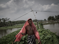 A farmer in the village beside the waste dumping ground. Dhapa, Kolkata, India. September 19, 2015.  *** Go to http://nurphoto.com/en/report...