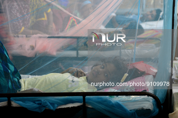 Bangladeshi child dengue patients covered with a mosquito net suffers from dengue fever as they receive treatment inside the Dhaka Child Hos...