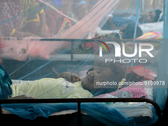 Bangladeshi child dengue patients covered with a mosquito net suffers from dengue fever as they receive treatment inside the Dhaka Child Hos...