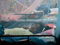 Bangladeshi child dengue patients covered with a mosquito net suffers from dengue fever as they receive treatment inside the Dhaka Child Hos...