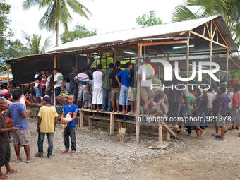 It is East Timor, one of the world's youngest nations, blood thirsty national sport and a scene replicated throughout the tiny nation every...