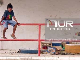 It is East Timor, one of the world's youngest nations, blood thirsty national sport and a scene replicated throughout the tiny nation every...