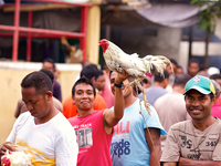 It is East Timor, one of the world's youngest nations, blood thirsty national sport and a scene replicated throughout the tiny nation every...