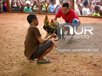 It is East Timor, one of the world's youngest nations, blood thirsty national sport and a scene replicated throughout the tiny nation every...