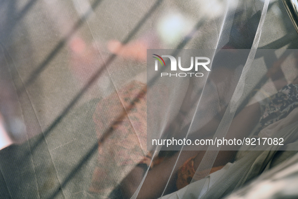 Rozina (19), is seen inside a mosquito net as she is under treatment for dengue fever at a special ward in Dhaka, Bangladesh on November 18,...