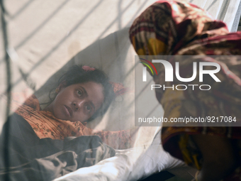 Rozina (19), is seen inside a mosquito net as she is under treatment for dengue fever at a special ward in Dhaka, Bangladesh on November 18,...