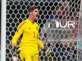 (1) COURTOIS Thibaut of Belgium team his action after save the ball from penalty during FIFA World Cup Qatar 2022  Group F football match be...