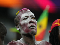 Ghana supporter during the FIFA World Cup Qatar 2022 Group H match between Portugal and Ghana at Stadium 974 on November 24, 2022 in Doha, Q...