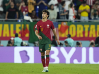 Joao Felix Second Striker of Portugal and Atletico de Madrid celebrates after scoring his sides first goal during the FIFA World Cup Qatar 2...