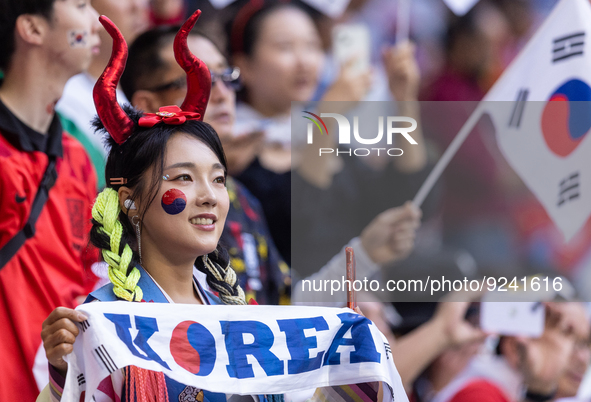 Korea fans during the World Cup match between Spain v Costa Rica, in Doha, Qatar, on November 23, 2022. 