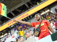 Ghana supporter during the FIFA World Cup Qatar 2022 Group H match between Portugal and Ghana at Stadium 974 on November 24, 2022 in Doha, Q...