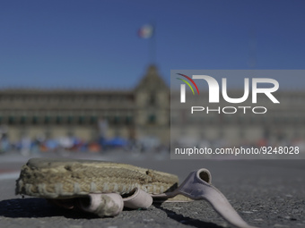 A woman's shoe on the ground in Mexico City's Zócalo to mark the International Day for the Elimination of Violence against Women. This day a...