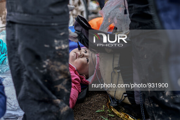  Migrants approach the coast of the northeastern Greek island of Lesbos on Thursday, Nov. 28, 2015. About 5,000 migrants are reaching Europe...